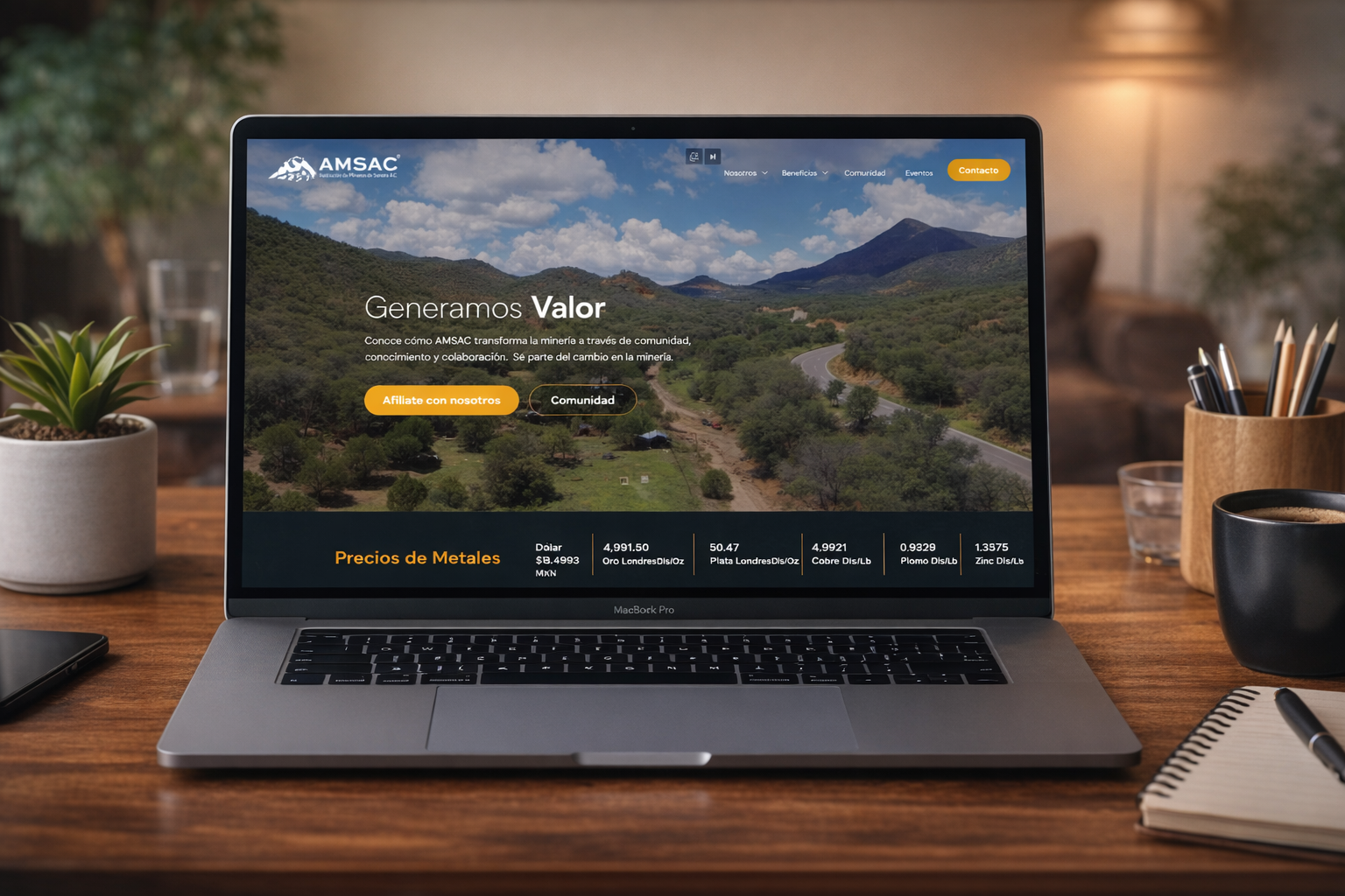 AMSAC website screenshot